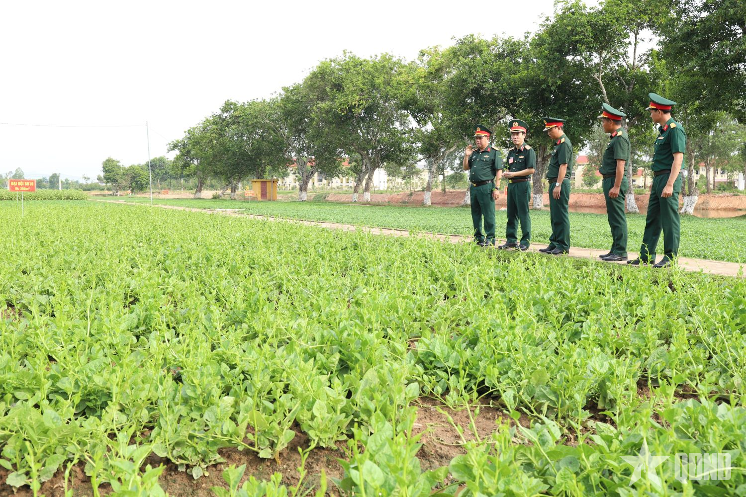 Quân đoàn 12 khai mạc hội thi “Tăng gia sản xuất, chế biến tập trung”